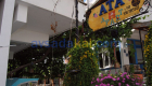 Ata Apart