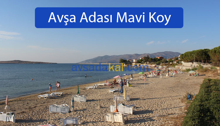 Avşa Adası Mavi Koy Plajı