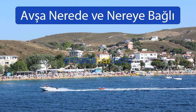 Avşa Adası Nerede ve Nereye Bağlı