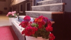Ayhan Motel