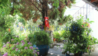 Bozyiğit Evleri
