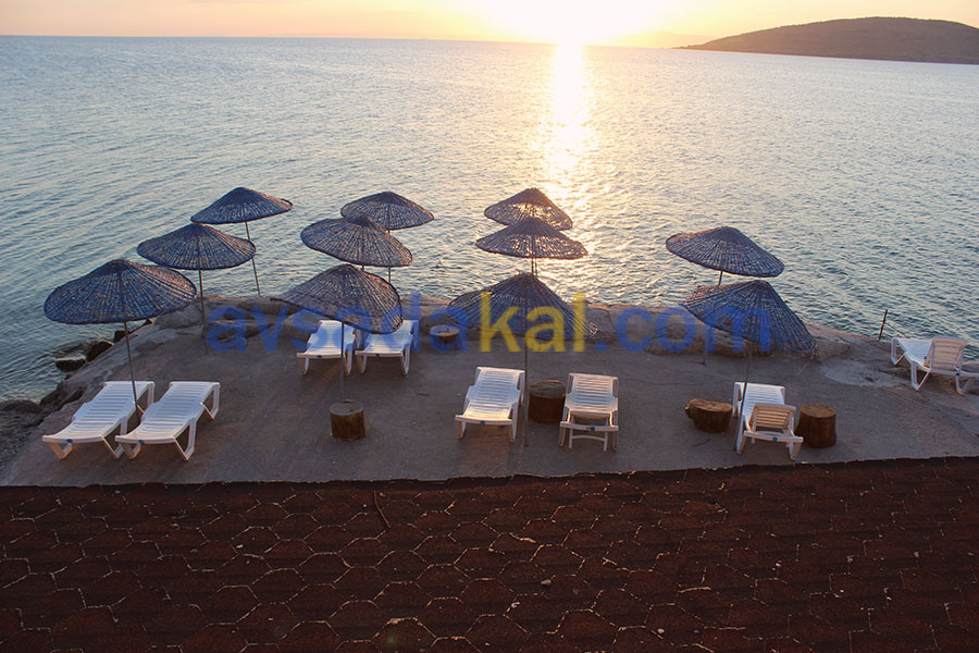 Temel Motel