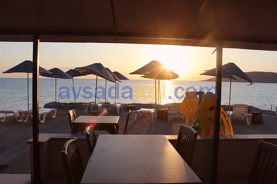 Temel Motel